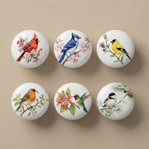 Könnte beinhalten: Sechs weiße Keramik-Schrankknöpfe mit farbenfrohen Vogelillustrationen. Die Vögel sind ein roter Kardinal, ein blauer Häher, ein gelber Stieglitz, ein Rotkehlchen, ein Kolibri und eine Schwarzweißkopfmeise, jeweils auf einem floralen oder belaubten Zweig.