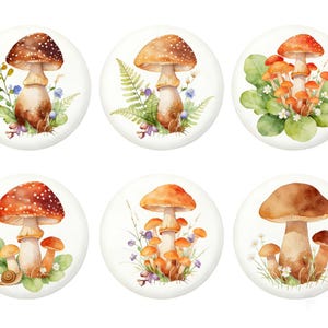 May include: A set of six round, white buttons featuring watercolor illustrations of various mushrooms. The mushrooms have brown, orange, and red caps with white spots, surrounded by greenery and small flowers.