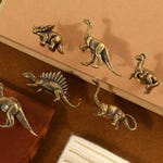 Brass Knobs