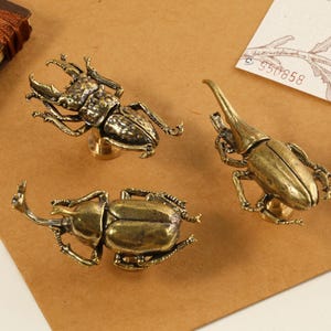 Puede incluir: Tres tiradores de cajones de insectos de latón. Los tiradores tienen forma de escarabajos con detalles intrincados. Los escarabajos están en varias poses, con sus patas y antenas visibles.