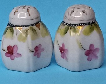 Vintage porcelain floral themed salt and pepper shakers made in Japan