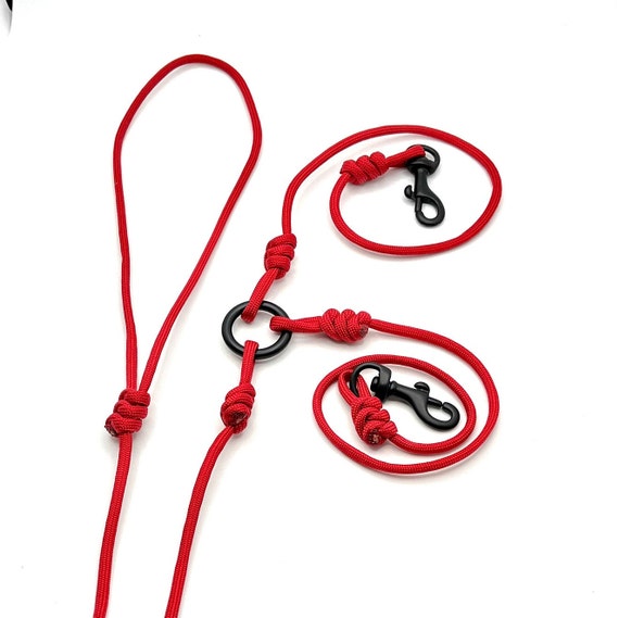 extra long lead dog
