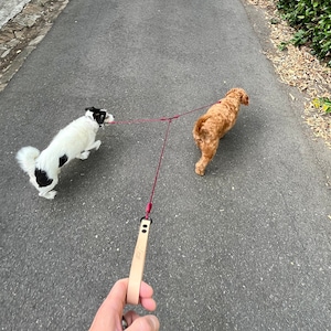 Gepersonaliseerde vegetarische lichtbruine leren honden- of kattenriem / riem - dubbele dubbele clip / aangepaste lengte en kleur / handgemaakt