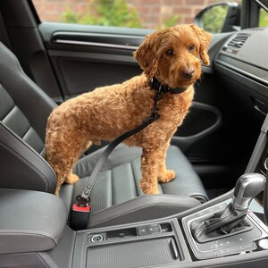 Custom Length Vegan / Synthetic Leather Car Seat Belt Buckle / Restraint for Dog / Cat / Animals / Matte Black