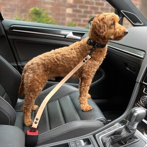 Personalised Embossed Leather Car Seat Belt Buckle / Restraint for Dog / Cat / Animals / Custom Length