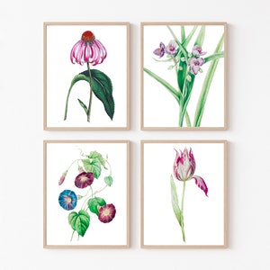 Botanische digitale set van 4 - botanische illustratie - afdrukbare bloemen kunst aan de muur - PRINT thuis digitale download - botanische poster