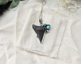 Fossil Shark Tooth Pendant