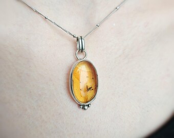 May include: An oval-shaped amber pendant set in a silver-toned metal frame, featuring a small insect inclusion visible within the translucent orange stone. The pendant hangs from a delicate silver-toned chain with small, evenly spaced metal beads.