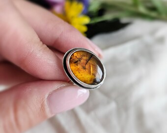 May include: An oval-shaped ring featuring a polished, translucent amber stone with visible internal inclusions. The amber is set within a smooth, silver-toned metal bezel, creating a simple and clean design that highlights the natural golden-brown hues.