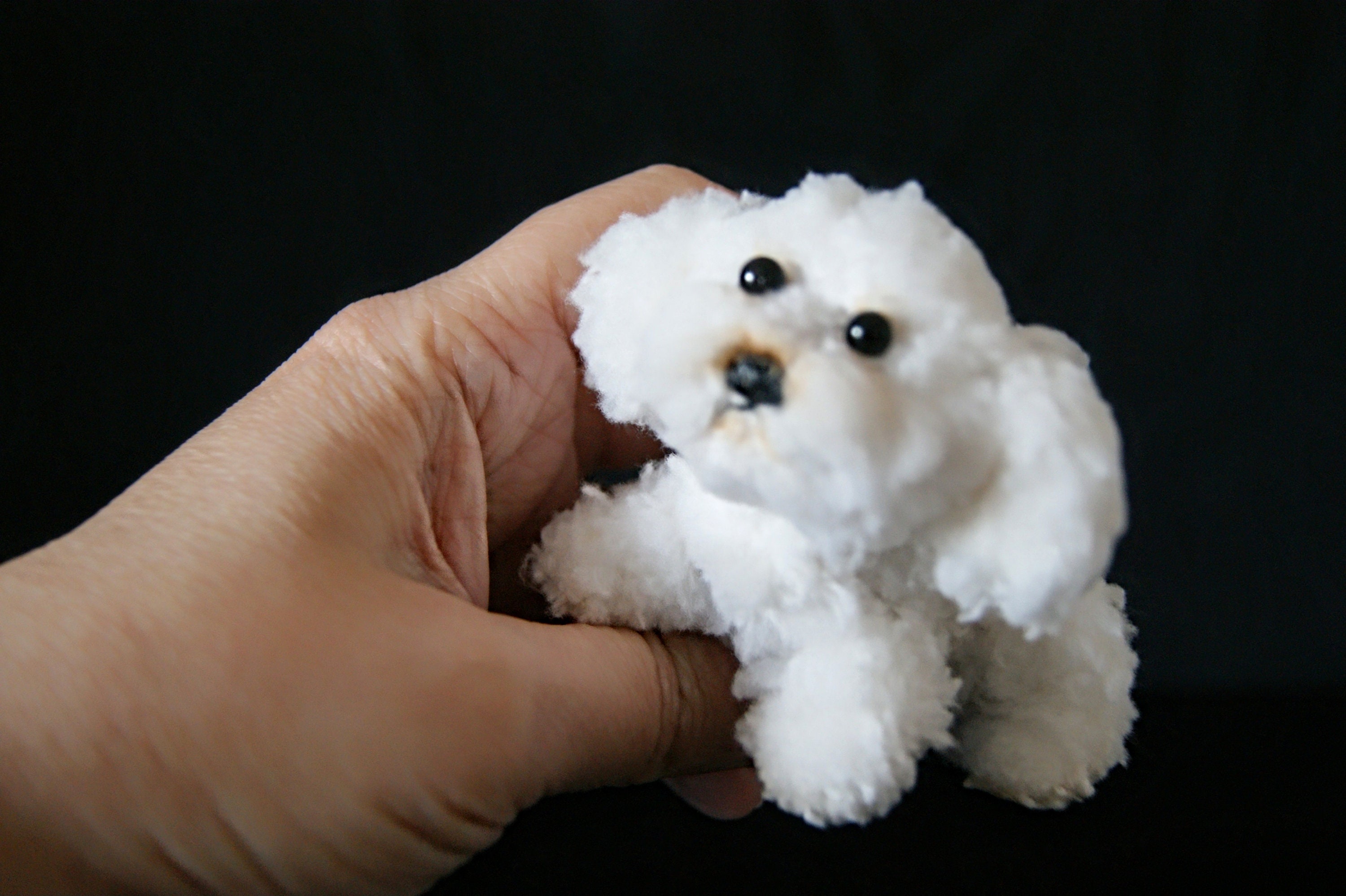 Kleiner Welpe Lapdog weißer Hund flauschiger Welpe für Etsy