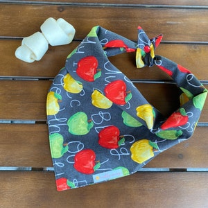 Back to School Dog Bandana, School Dog Bandana, School Themed Gift, Alphabet Bandana, Apple for the Teacher, School Year Bandana, Apples