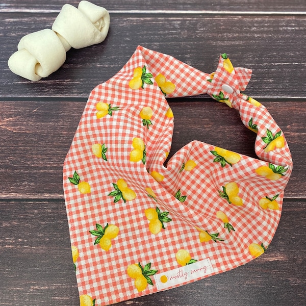 Lemon Dog Bandana, Gingham Dog Bandana with Lemons, Pretty Dog Bandana, Summer Dog Bandana, Fruit Dog Bandana, Lemons, Puppy Bandana, Pretty