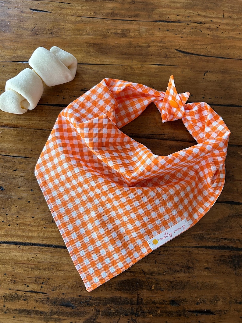 May include: Orange and white gingham dog bandana with a small yellow label that says "mostly sunny".