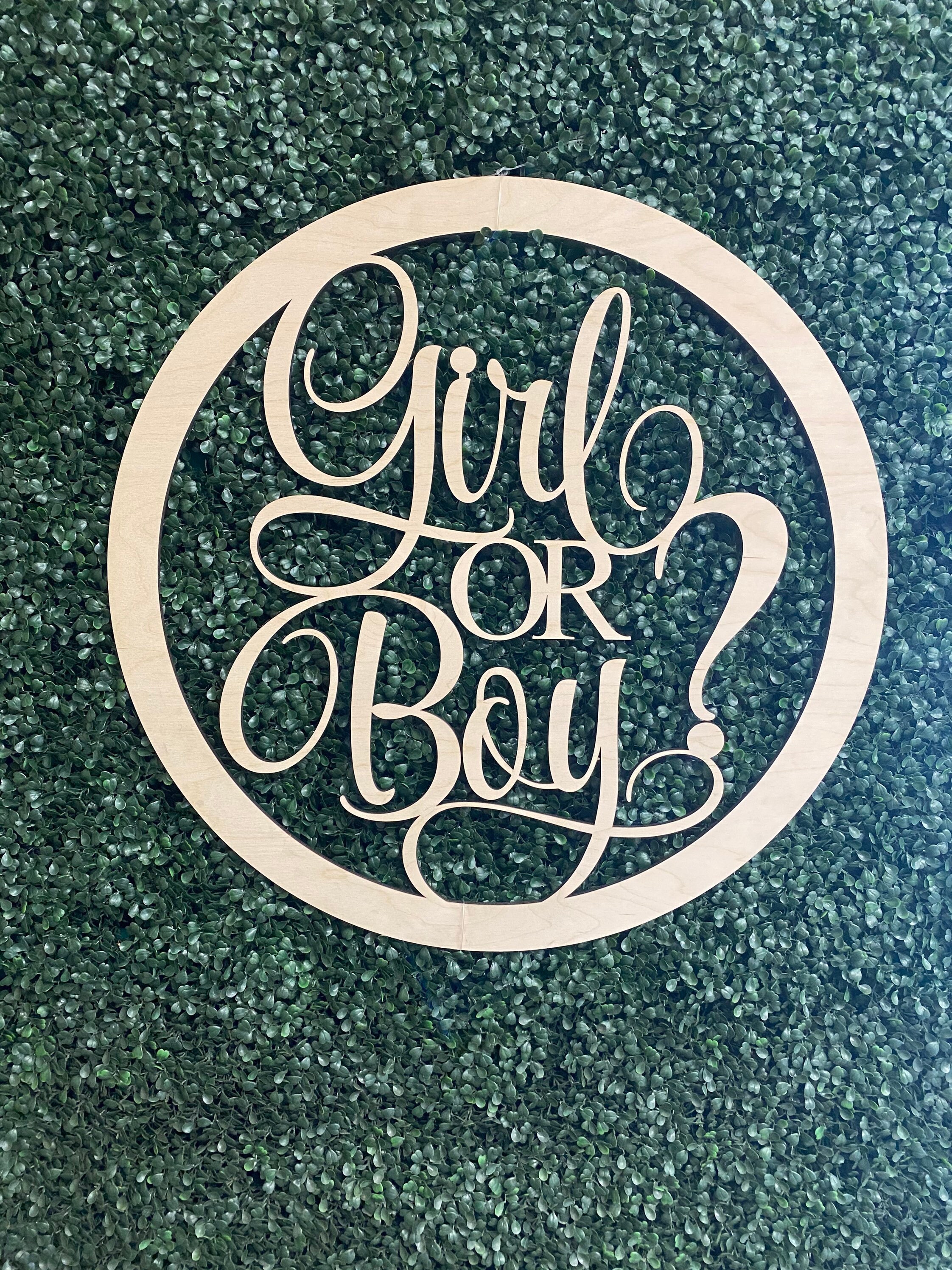 Baby Boy Backdrop Banner 6x4 FT | Gender Reveal Party Photo Background With Hanging String