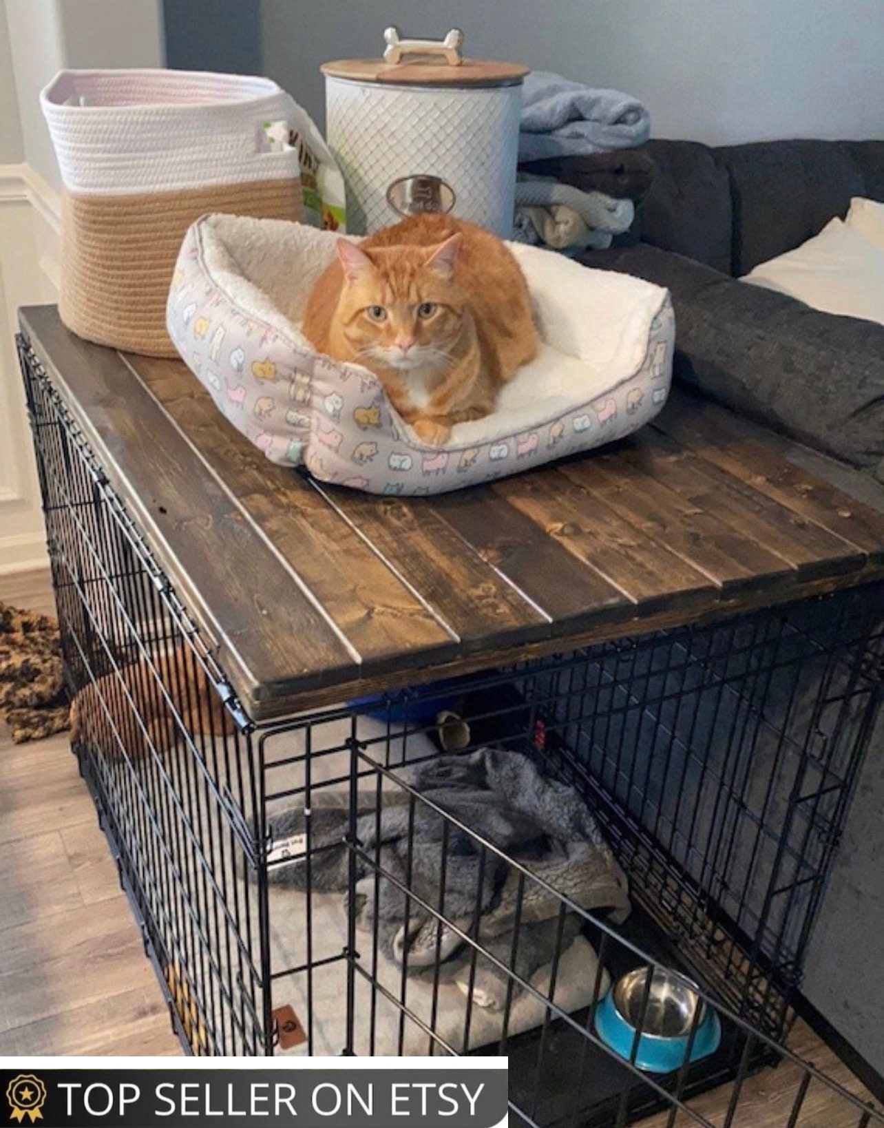 Proselect empire pet cage hot sale