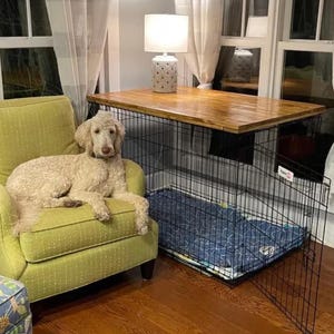 May include: A black wire dog crate with a rectangular wooden top surface. The crate features a blue patterned mat inside and a white lamp with a perforated base sits on the wooden top. The structure is positioned next to a lime green armchair.