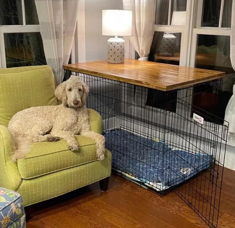 May include: A black wire dog crate with a rectangular wooden top surface. The crate features a blue patterned mat inside and a white lamp with a perforated base sits on the wooden top. The structure is positioned next to a lime green armchair.