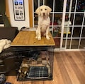 Dog Kennel Wood Table Top Dog Kennel Cover Farmhouse Dog Kennel Top Dog Crate Topper Dog Crate Table Crate Cover Dog Kennel Furniture