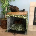 Reclaimed Wood Dog Crate Tabletop: Versatile Kennel Topper