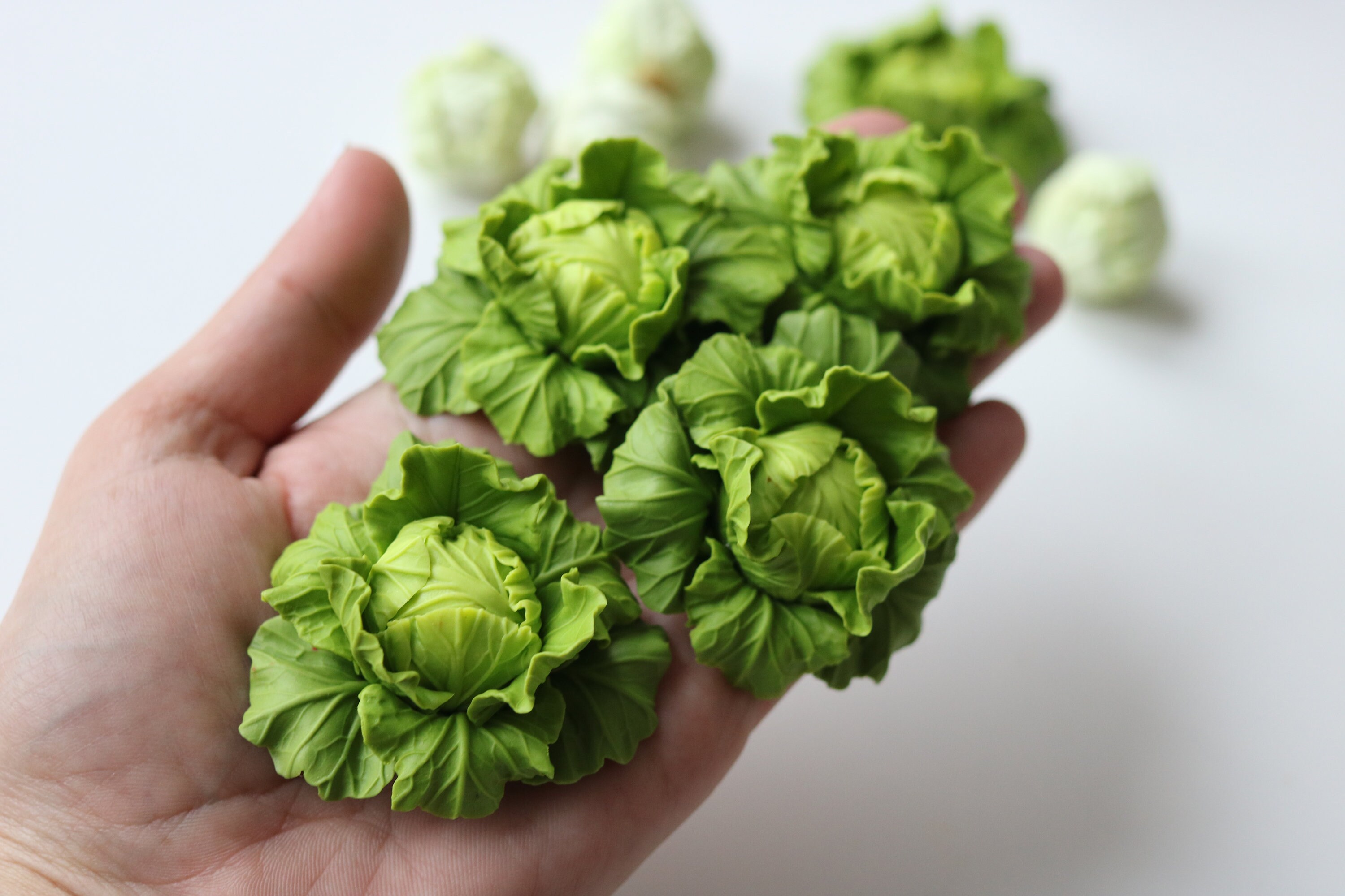 Cabbage Miniature Fot Dollhouse. Scale 1/12 and 1/6. Etsy