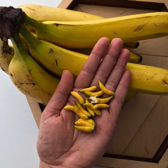Barbie 1:6 Kitchen Food Miniature Fruit Peeled Banana