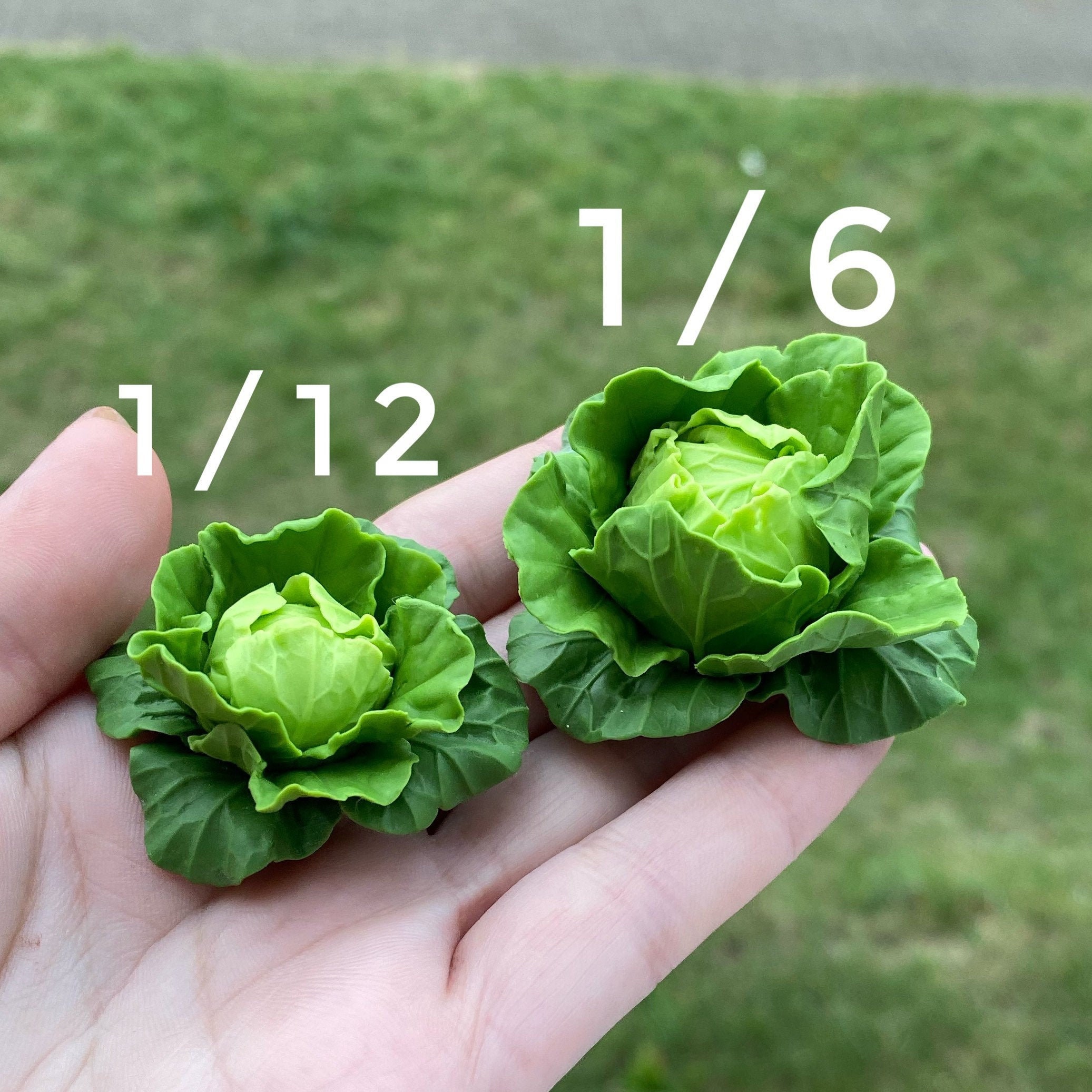 Cabbage Miniature Fot Dollhouse. Scale 1/12 and 1/6. Etsy