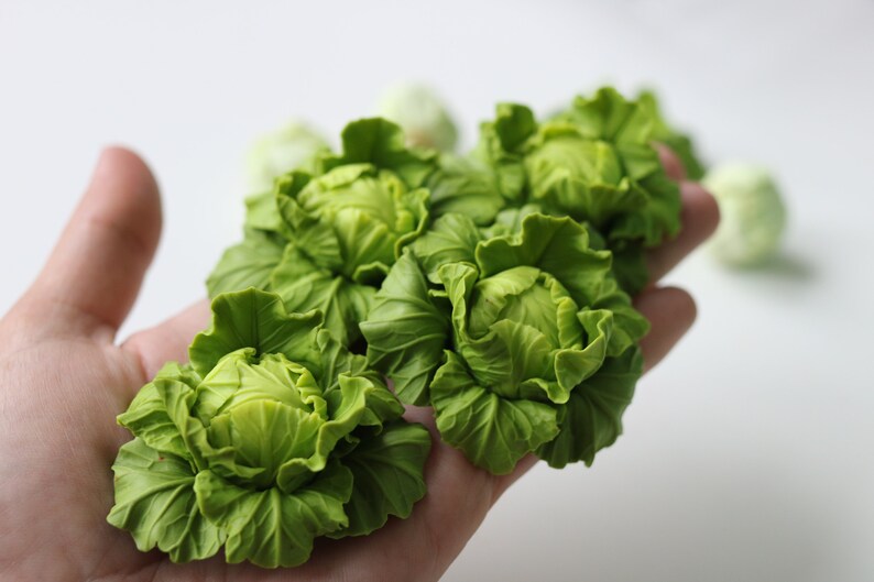 Cabbage Miniature Fot Dollhouse. Scale 1/12 and 1/6. Etsy