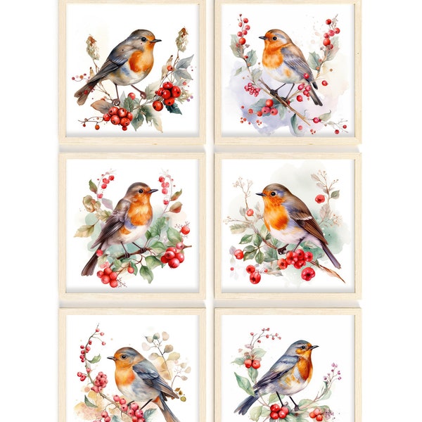 Robin Art Print, Robin Gift, 2 Sizes, 6 Different Prints to Choose From, Can be Personalised, Gift For Loved One, Keepsake, Loss