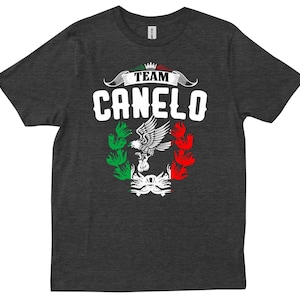 Team Canelo Mexico Flag Vintage Boxing Alvarez Fight Night Gift T-shirt
