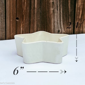 May include: White ceramic star-shaped planter with a 6 inch width and 2 1/2 inch height.