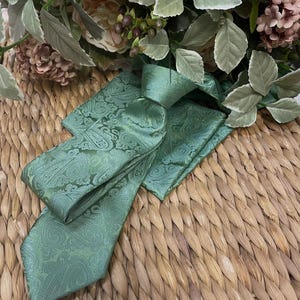Sage Green Tie & Hank Self Pattern Paisley mens Ties Wedding Gift