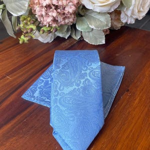 Baby Blue Tie & Hank Self Pattern Paisley mens Ties Wedding Gift
