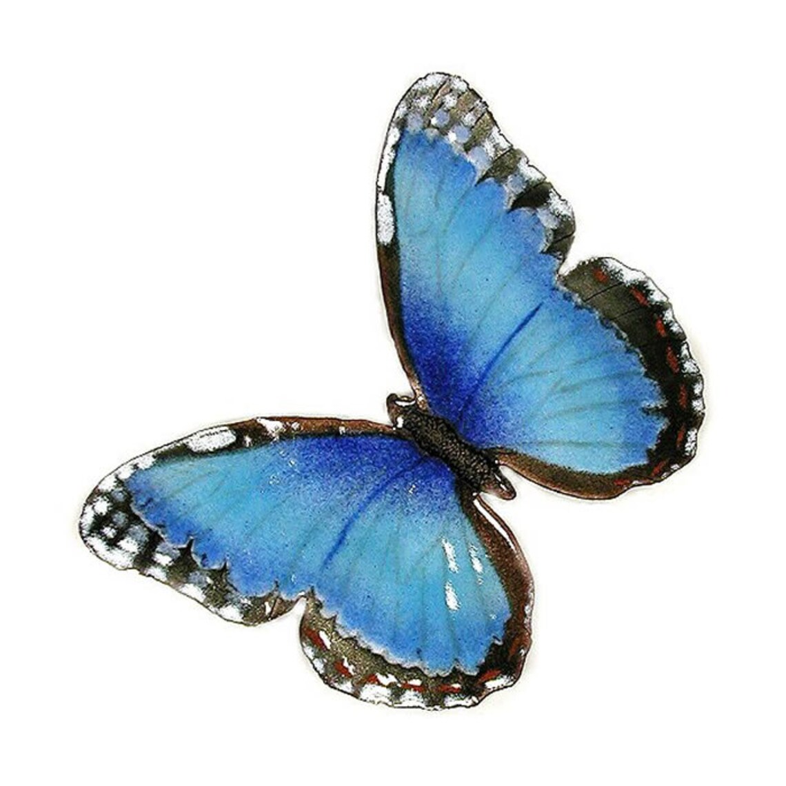 Blue Morpho Butterfly Metal Wall Art Sculpture by Bovano of Etsy