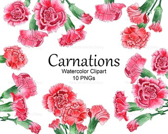 Watercolor Floral Clipart Carnations /& Forget Me Not Flowers Digital Download Bouquet Wreath Carnation Forget-Me-Not Free Commercial Use Png