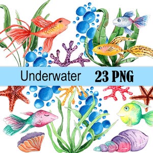 Unterwasser Aquarell Clipart, wunderliche Fische PNG, Nautische Babyparty Clipart, tropisches Meer Leben, digitaler Download