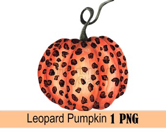 Pompoen met luipaardprint clipart PNG, herfstpompoen met aquarel dierenprint