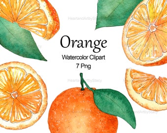 Clipart arancione acquerello, Clipart agrumi, Download digitale Png