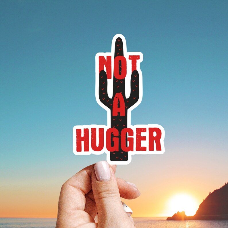 Custom Sticker Hug Sticker Anti-Valentine Not a Hugger Sticker Cactus Sticker Laptop Sticker Holiday Sticker Valentines Day Sticker