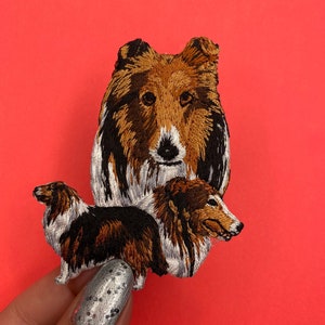 Patch per cani Collie, applique Collie, stirare/cucire