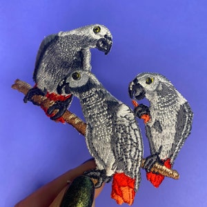 May include: Three gray parrots with red accents on their tails and beaks are perched on a branch. The parrots are embroidered and have a realistic appearance.