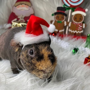 Small Animal Christmas Hat - Guinea Pig - Ferret - Holiday Costume - Santa Hat