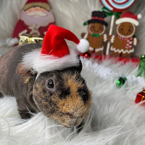 Small Animal Christmas Hat - Guinea Pig - Ferret - Holiday Costume - Santa Hat