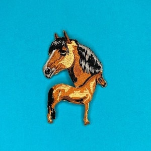 Può includere: Una toppa ricamata a forma di testa di cavallo marrone e nero. Il cavallo ha una criniera e una coda nere e un corpo marrone.