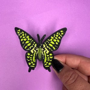 Black and Green Butterfly Patch - Iron on - Appliqué