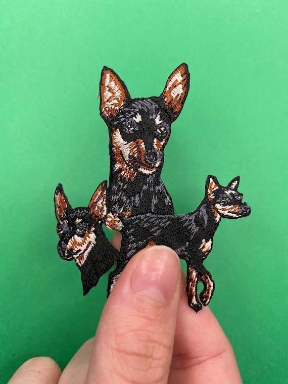 Revocación Filosófico marioneta Parche para perros Pincher miniatura Plancha sobre Coser - Etsy España