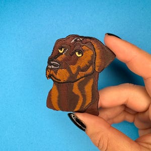 Könnte beinhalten: Gestickter Aufnäher mit einem braunen und hellbraunen Hund mit gelben Augen. Der Aufnäher hat die Form des Kopfes und der Schultern des Hundes. Der Aufnäher wird vor einem blauen Hintergrund gehalten.