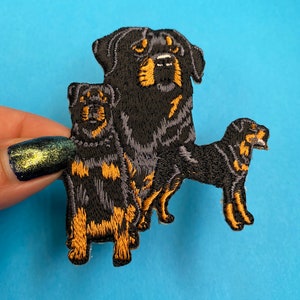 Puede incluir: Parche bordado con tres Rottweilers de diferentes tamaños. El Rottweiler más grande es negro con marcas marrones y está de pie con la cabeza ligeramente inclinada hacia un lado. El Rottweiler de tamaño mediano también es negro con marcas marrones y está de pie detrás del Rottweiler más grande. El Rottweiler más pequeño es negro con marcas marrones y está de pie delante de los otros dos Rottweilers.