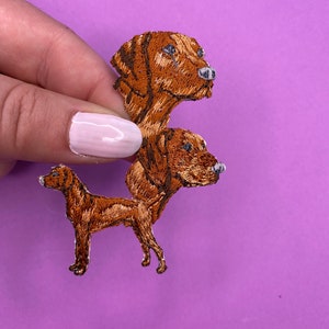 Vizsla Dog Patch - Iron on - Applique - Realistic