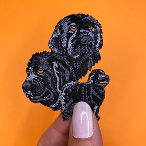 Newfoundland dog patch