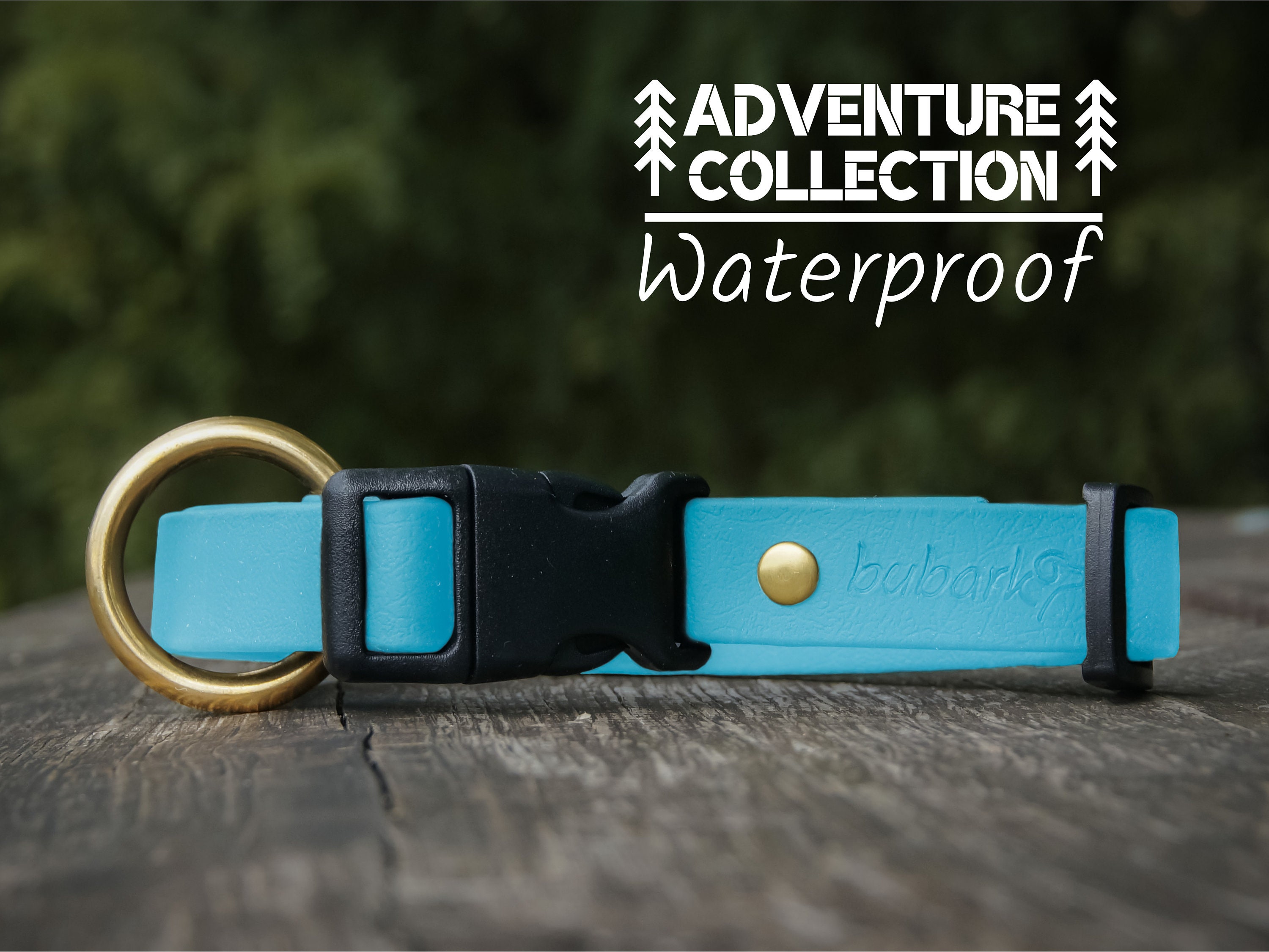 quick release safety dog collar